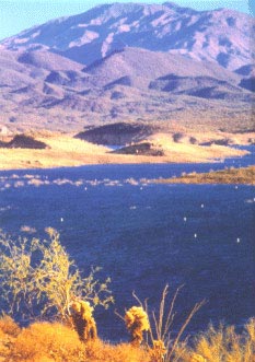 View of the lake with a mountain behind it